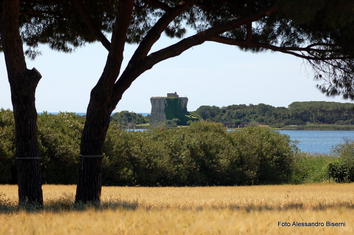 Immagini della Maremma Il Lago di Burano ☀️